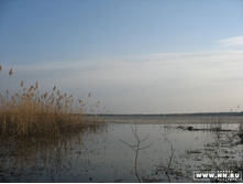 ����� �������