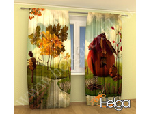 ����� �� ����� ���. 2141.jpg