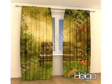 �������� � ���� ���. 1995.jpg