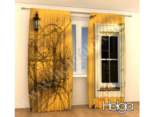 ����� ���� ���. 2127.jpg