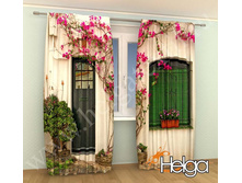 ����� ������� ������� ���. 2068.jpg