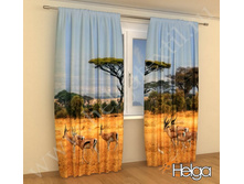 �������� � ������� ���. 1982.jpg