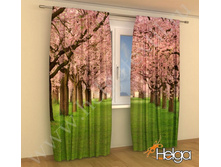 �������� ��� ���. 1983.jpg