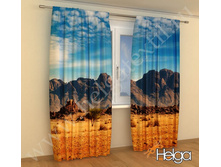 ���� � ������� ���. 2008.jpg