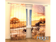 �������� ��� ������� ���. 2046.jpg