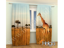 ����� ����� ���. 2145.jpg