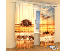 ����� � ������� ���. 2010.jpg