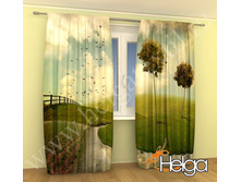 ����� ������� ������ ���.2081.jpg