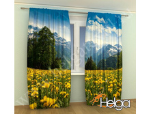 ��������� ������ ���. 2096.jpg