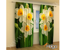 �������� ���. 2019.jpg