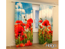 ���� � ������ ���. 2034.jpg