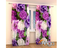 ��������� ���� ���. 2013.jpg