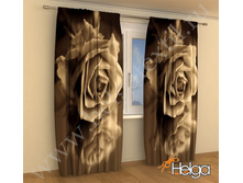 ���� ���. 2001.jpg