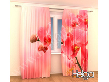 ������� ������� ���. 1993.jpg