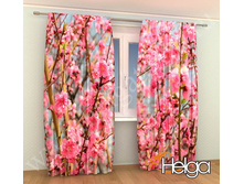 ������ ���. 2123.jpg