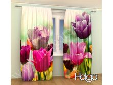 �������� ���. 2111.jpg