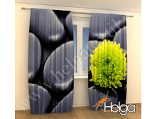 ������ �� ������ ���.2083.jpg