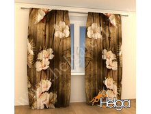 ����� ����� ���. 2113.jpg