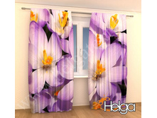 ����� ������� ���. 2093.jpg