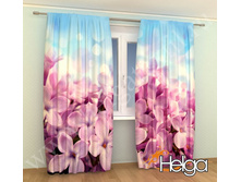 ����� ������ ���. 2094.jpg