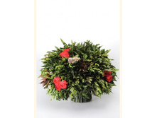 V(S)10-10013.jpg - 5780+%