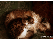 �������