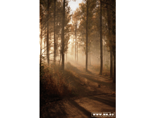 ���������. ����