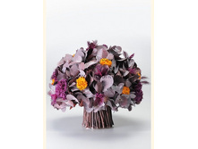 V(S)10-101XX.jpg - 4060+%