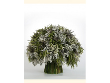 V06-019.jpg - 2800+%