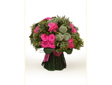 V07-00717.jpg - 5600+%