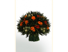 v166-15.JPG - 3850+%