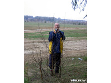 ���� �������