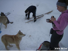 ����� ������� ������?