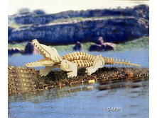 40�. M 013.jpg