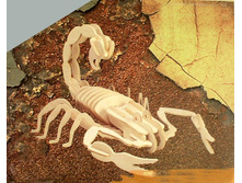 77�. E 006.jpg