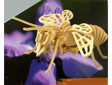 77�. E 030.jpg
