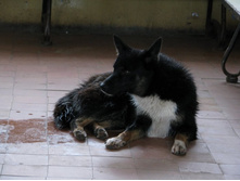 �_������ 043.jpg