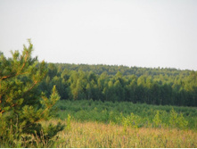 08.07.2008�������� �� ����_4.jpg