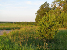 08.07.2008�������� �� ����_6.jpg