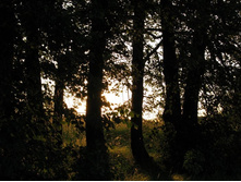 08.07.2008�������� �� ����_7.jpg