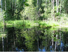 09.07.2008��� �� �����_1.jpg