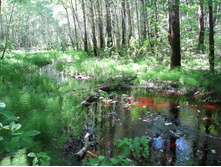 09.07.2008��� �� �����_6.jpg