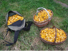 12.07.2008���� �� ���������_1.jpg