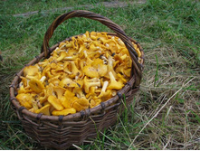 12.07.2008���� �� ���������_4.jpg