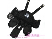 ����� dib ���� - �����, 310�.jpg