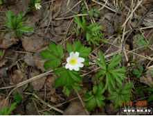 ������ �������� �����