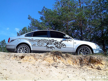 VW Passat B5 2001, 1.8� ����