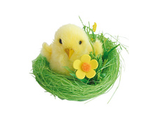 ������������ ��������� �������� � ������ �� ����� 8 ��, ������� � ������������, 65 ���