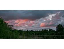 ����� ����