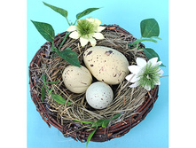 ������������ ��������� ������, 10*4,5 ��, 100 ���